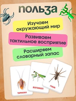 Развивающий набор с карточками «Мир насекомых», по методике Домана