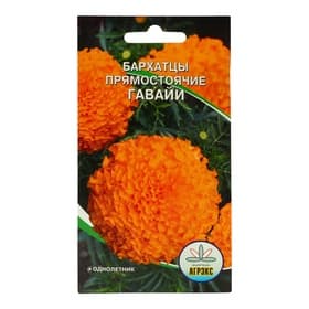 Семена цветов Бархатцы прямостоячие «Гавайи», 0.2 г