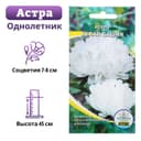 Семена цветов Астра пионовидная «Белая башня», 0.2 г, «АГРЭКС»