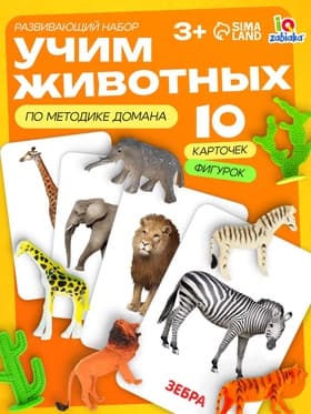 Развивающий набор фигурок для детей «Дикие животные» с карточками, по методике Домана