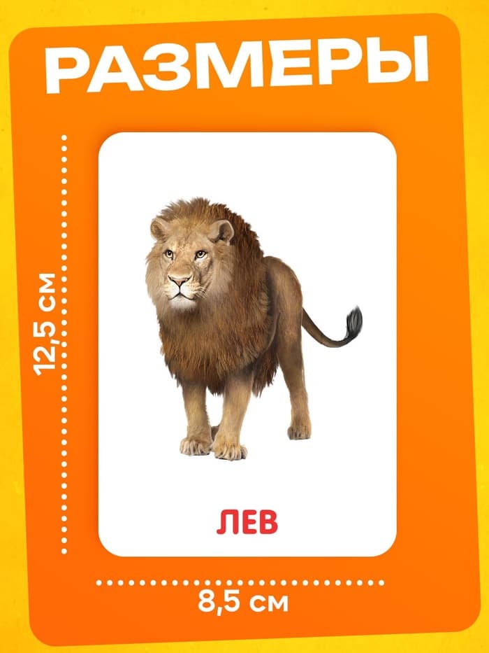 Развивающий набор фигурок для детей «Дикие животные» с карточками, по методике Домана