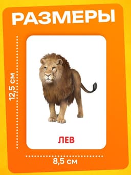 Развивающий набор фигурок для детей «Дикие животные» с карточками, по методике Домана