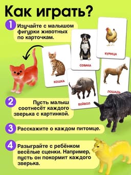 Развивающий набор «Домашние животные», по методике Домана, 9 фигурок, 3+