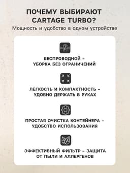 Пылесос автомобильный CYCLONE TURBO, беспроводной, 100 Вт, 12 В, черный