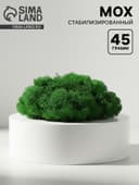 Мох декоративный стабилизированный «Зелёный» 45 г (±5 г).