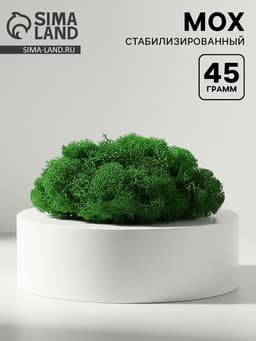Мох декоративный стабилизированный «Зелёный» 45 г (±5 г).