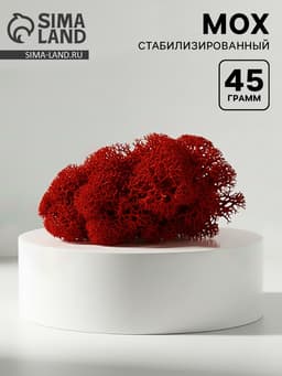 Мох стабилизированный «Красный» 45 г (±5 г).