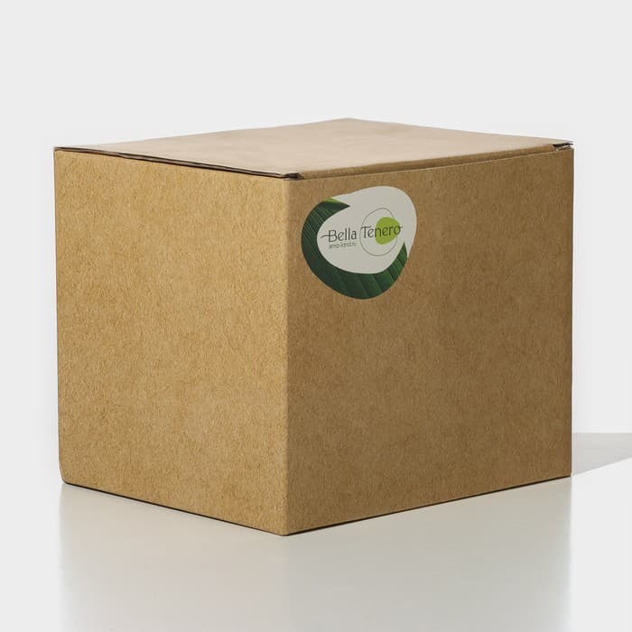 Заварочный чайник «Эко. Бабл», 800 мл, 18×13.5×12.5 см, с бамбуковой крышкой, металлический фильтр, стекло, прозрачный