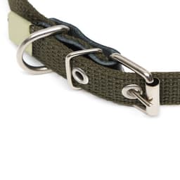 Ошейник брезентовый однослойный, безразмерный, 52×2 см, ОШ 23-46 см, хаки