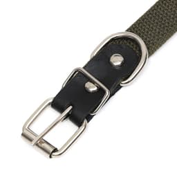 Ошейник брезентовый однослойный, безразмерный, 52×2 см, ОШ 23-46 см, хаки