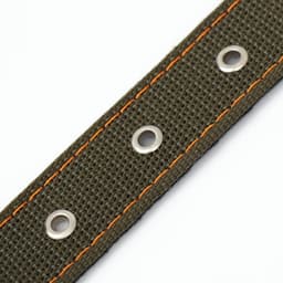 Ошейник брезентовый с подкладом, 72×3.5 см, ОШ 45-60 см, хаки