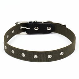 Ошейник брезентовый однослойный, безразмерный, 72×3.5 см, ОШ 45-60 см, хаки