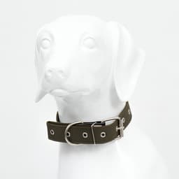 Ошейник брезентовый однослойный, безразмерный, 72×3.5 см, ОШ 45-60 см, хаки