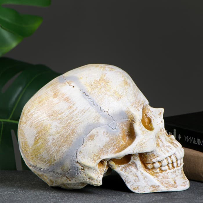 Копилка для денег «Череп», полистоун, кость, 16×13×22 см