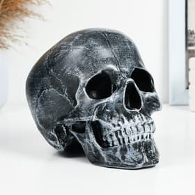 Копилка для денег «Череп», полистоун, 16×13×22 см