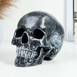 Копилка для денег «Череп», полистоун, 16×13×22 см