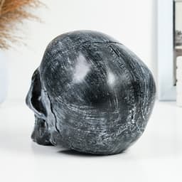 Копилка для денег «Череп», полистоун, 16×13×22 см