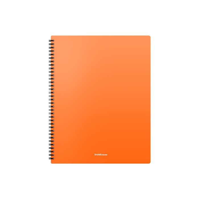 Папка с 20 вкладышами на спирали, А4, 600 мкм, ErichKrause Matt Neon, текстура «песок», МИКС