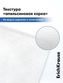 Папка-конверт на ZIP-молнии А4, 120 мкм, ErichKrause Fizzy Clear, c цветной молнией, до 100 листов, микс
