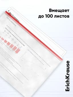 Папка-конверт на ZIP-молнии А4, 120 мкм, ErichKrause Fizzy Clear, c цветной молнией, до 100 листов, микс
