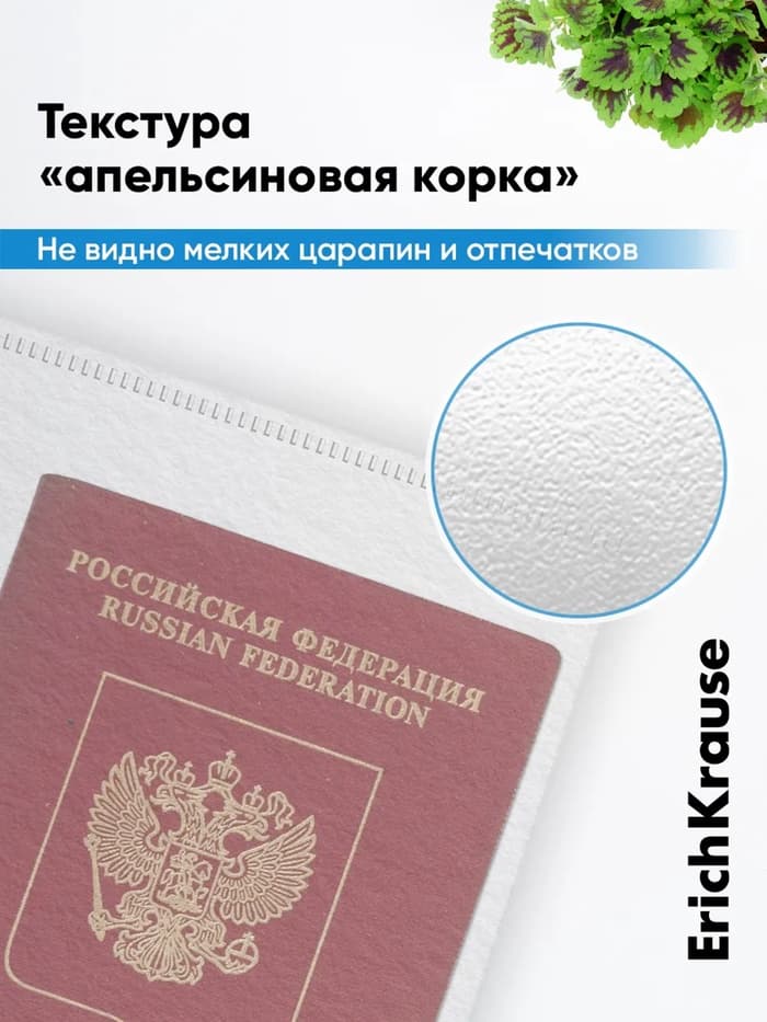 Папка-конверт на ZIP-молнии Travel (255×130 мм), 120 мкм, ErichKrause Fizzy Clear, с цветной молнией, микс, до 100 листов