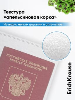 Папка-конверт на ZIP-молнии Travel (255×130 мм), 120 мкм, ErichKrause Fizzy Clear, с цветной молнией, микс, до 100 листов