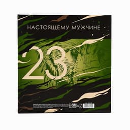 Подарочный набор «23 февраля», ежедневник в твердой обложке А5, 80 л, термостакан 350 мл