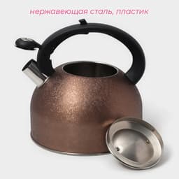 Чайник Доляна Snow, 3 л, со свистком, индукция, нержавеющая сталь, коричневый