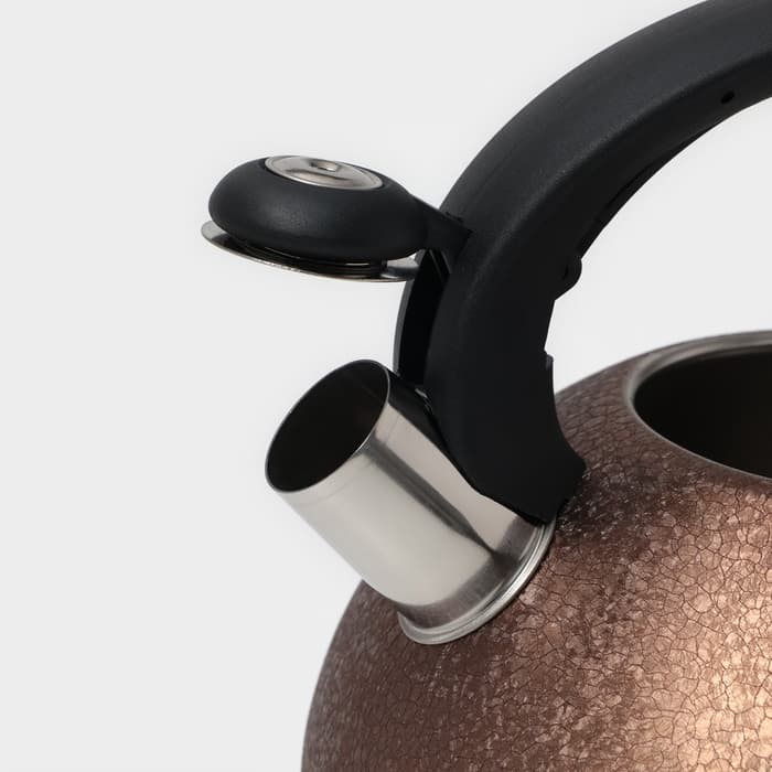 Чайник Доляна Snow, 3 л, со свистком, индукция, нержавеющая сталь, коричневый