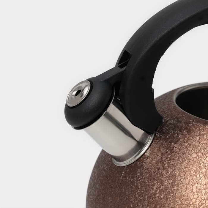 Чайник Доляна Snow, 3 л, со свистком, индукция, нержавеющая сталь, коричневый