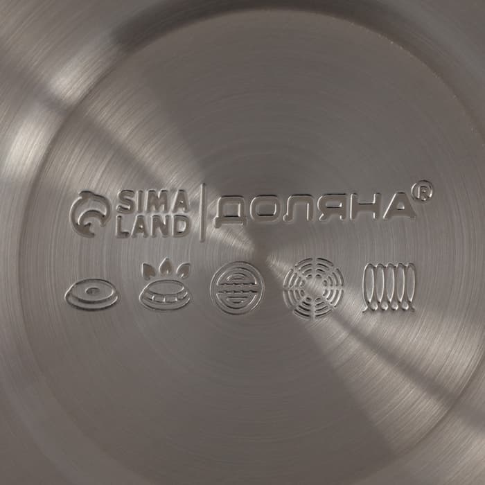 Чайник Доляна Snow, 3 л, со свистком, индукция, нержавеющая сталь, коричневый