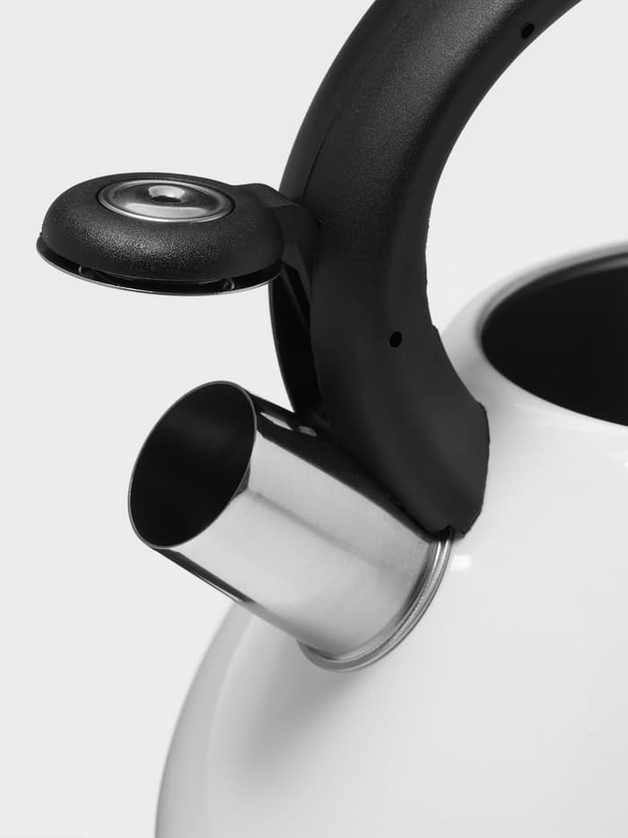 Чайник Доляна Magic birds, 3 л, со свистком, с индикатором нагрева, индукция, нержавеющая сталь, белый