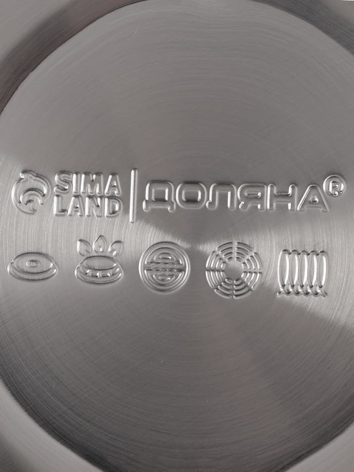 Чайник Доляна Magic birds, 3 л, со свистком, с индикатором нагрева, индукция, нержавеющая сталь, белый