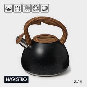 Чайник Magistro Stone, 2.7 л, со свистком, ручка софт тач, индукция, нержавеющая сталь, чёрный