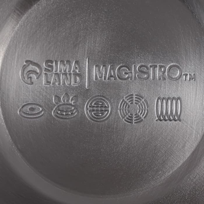 Чайник Magistro Stone, 2.7 л, со свистком, ручка софт тач, индукция, нержавеющая сталь, чёрный