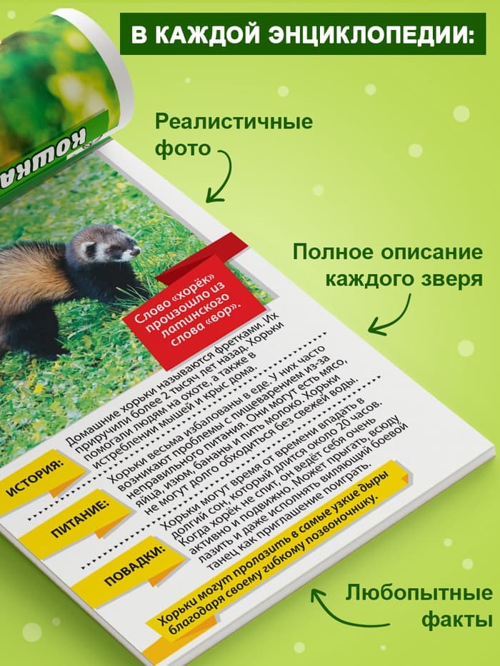 Мини - энциклопедии «Мир животных», 8 шт. по 20 стр.
