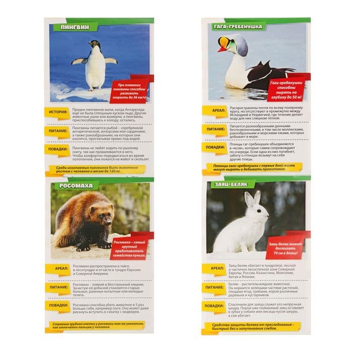Мини - энциклопедии «Мир животных», 8 шт. по 20 стр.