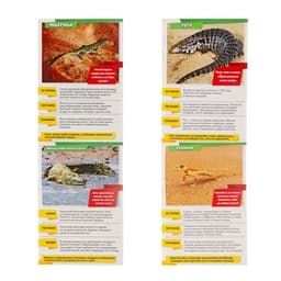 Мини - энциклопедии «Мир животных», 8 шт. по 20 стр.