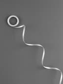 Лента для шаров, 4 мм × 4 м