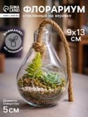 Флорариум «Лампа», с веревкой, d отверстия 5 см, 9×9×13 см, стекло, прозрачный