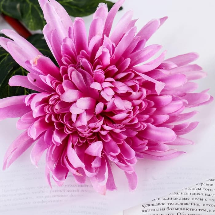 Цветы искусственные «Астра пионовидная», 17×63 см, сиреневые