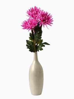 Цветы искусственные «Астра пионовидная», 17×63 см, сиреневые