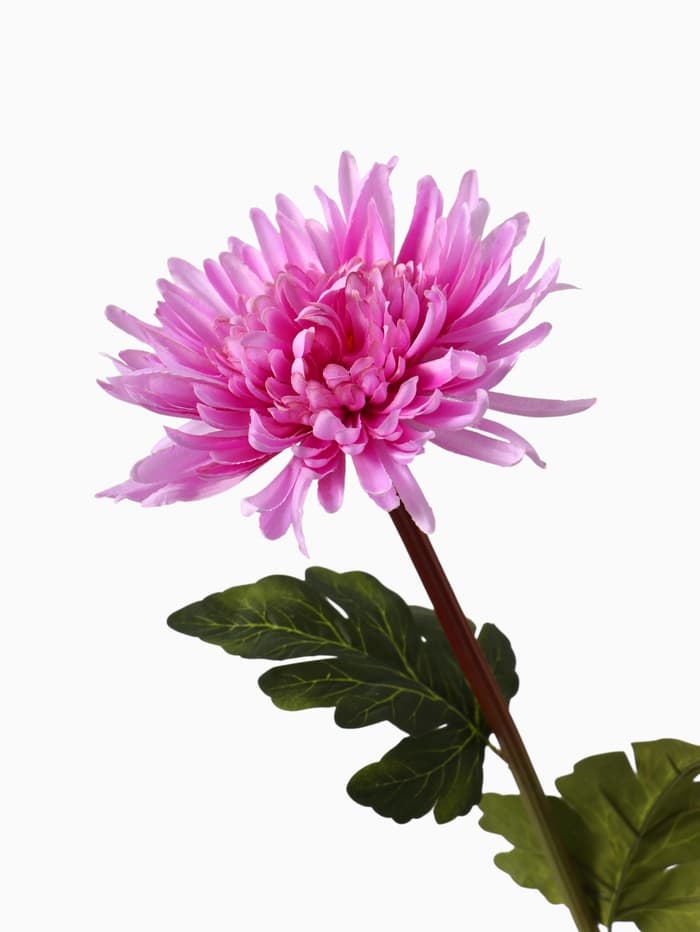 Цветы искусственные «Астра пионовидная», 17×63 см, сиреневые