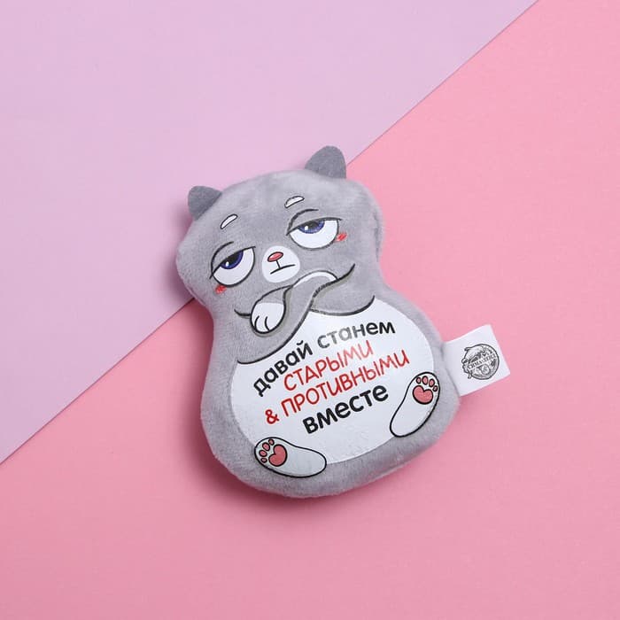 Магнит Milo toys «Давай станем старыми и противными вместе», кот