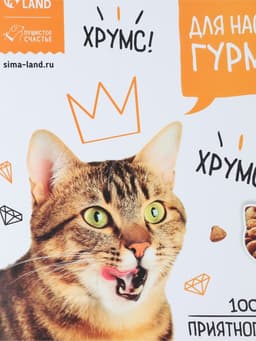 Коврик под миску «Для настоящих гурманов» 43×28 см