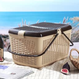 Корзина для пикника Альтернатива, 45×30×24 см, с ручками, пластик, светло-коричневая