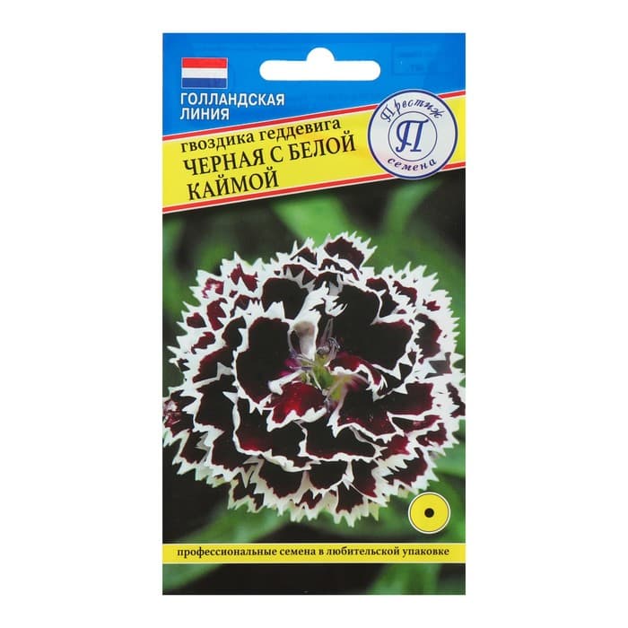 Семена цветов Гвоздика «Черная с белой каймой», «Престиж семена», 15 шт.