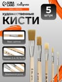 Кисти для рисования, щетина, 5 штук: №: 2, 6, 10, 16, 24, Calligrata, плоские, деревянная ручка, в пакете
