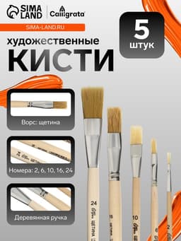 Кисти для рисования, щетина, 5 штук: №: 2, 6, 10, 16, 24, Calligrata, плоские, деревянная ручка, в пакете