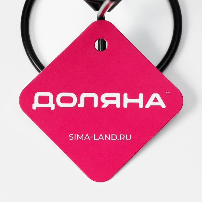 Корзинка для картофеля фри Доляна «Лукси», 10×10×14.5 см, нержавеющая сталь, чёрная